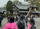 八ヶ岳