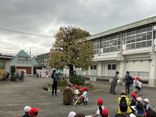 八ヶ岳