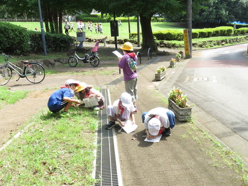 生活科見学