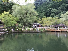 edo