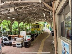 5901