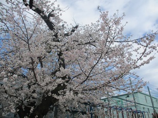 IMG_4134_6p.jpg