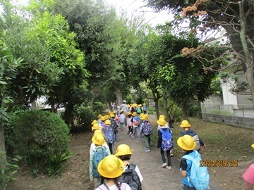  IMG_2802_7p.jpg